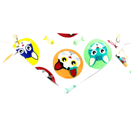 BANDANA CASUAL Kittens