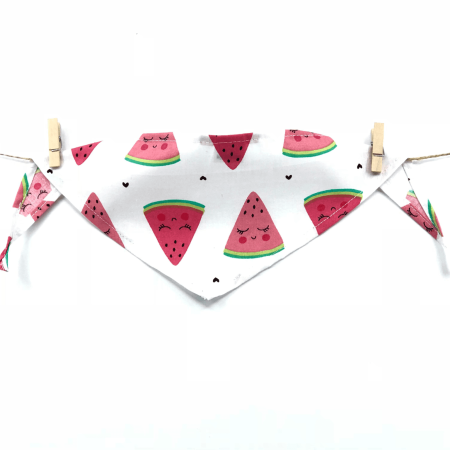 BANDANA CASUAL Watermelons
