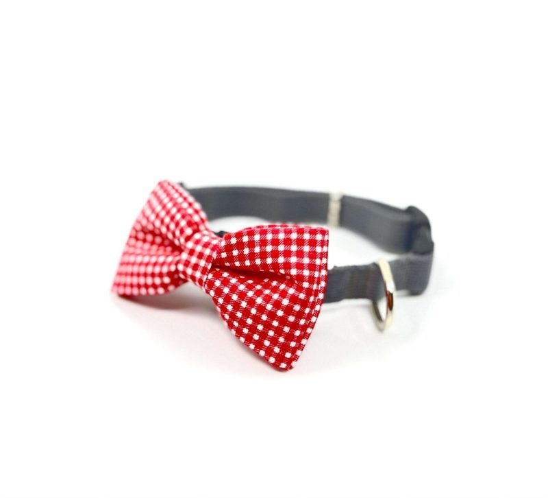 Muszka mocowana na obrozy