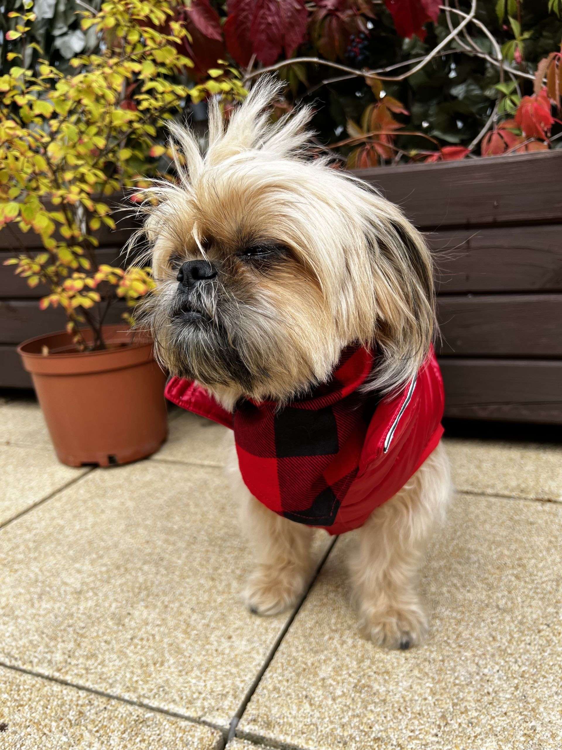 Kurtka City Warmer Red