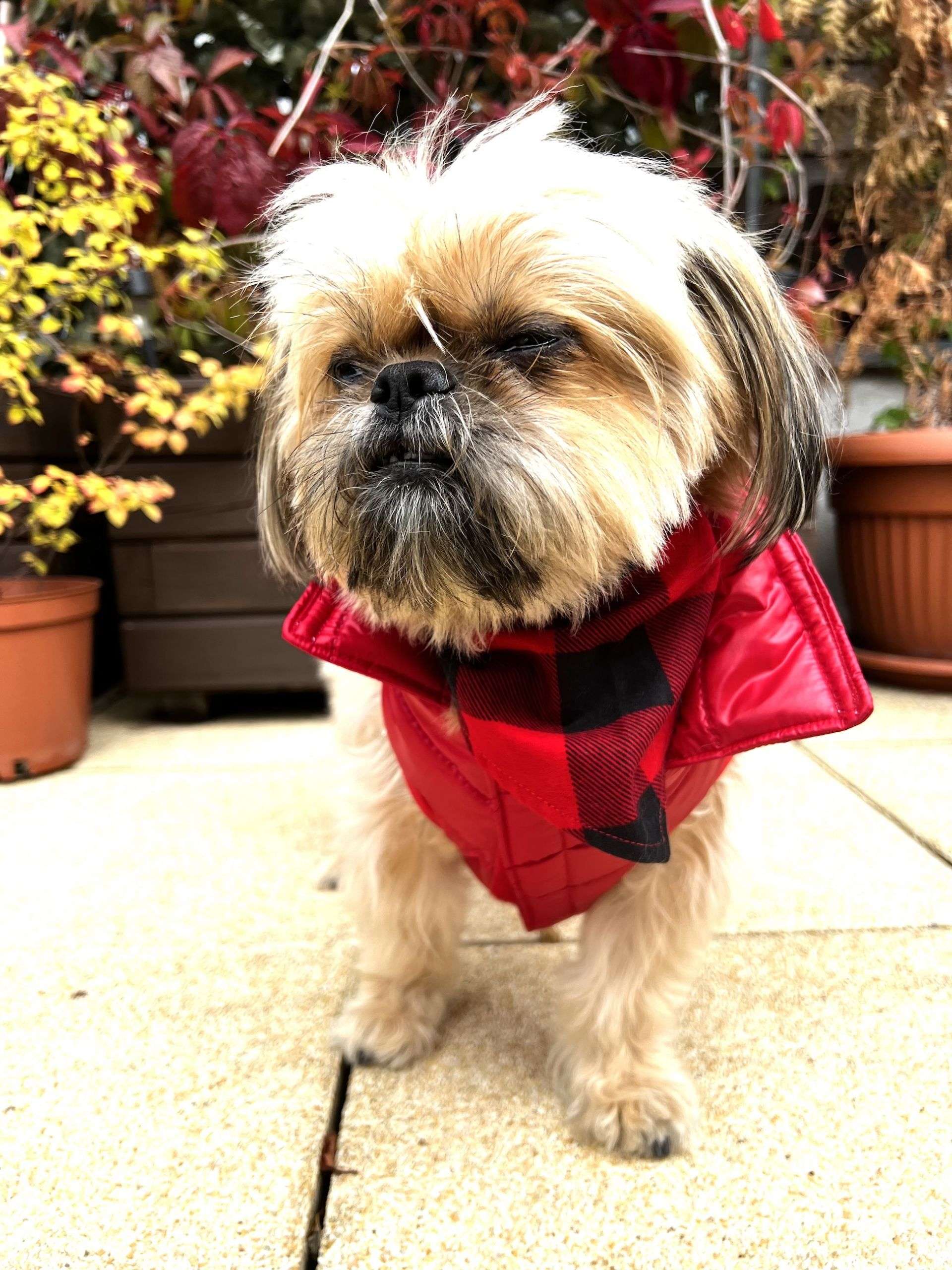 Kurtka City Warmer Red