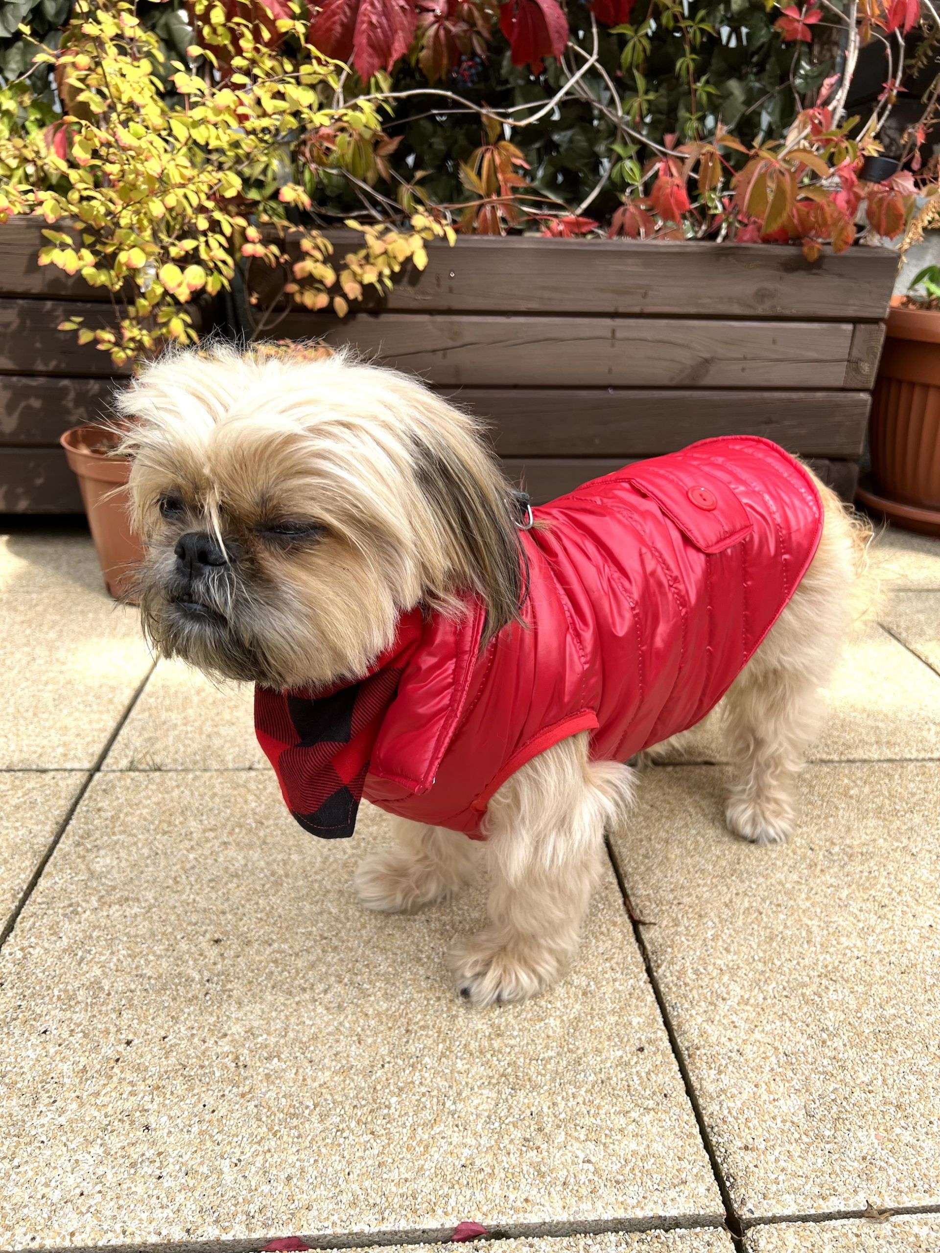 Kurtka City Warmer Red