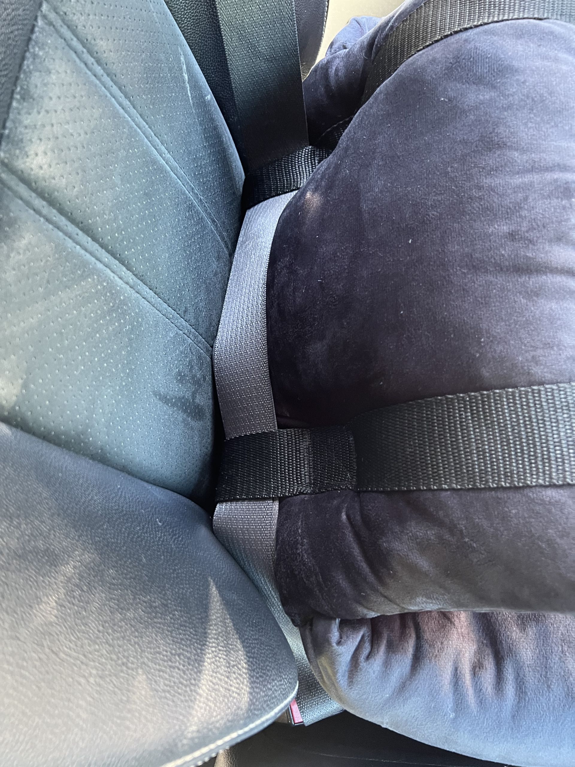 Fotelik Samochodowy dla Psa