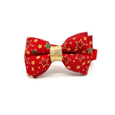 Muszka dla Pas Shiny Stars